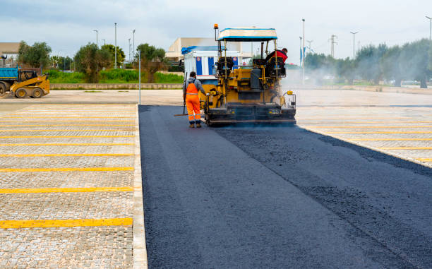 Best Decorative Driveway Pavers  in Plattsburgh West, NY